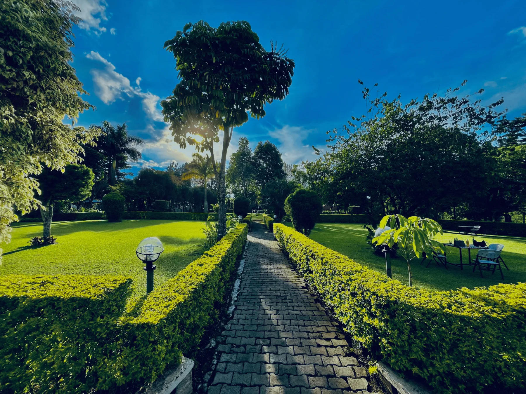 Garden at Kalya Courts Hotel